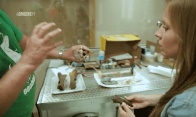 Da terra ao laboratório: Dinossauros 4