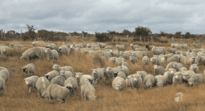 Momentos de Paz – Deus Cuidará de Ti