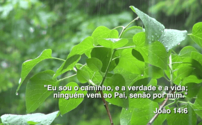 Momentos de Paz – Jesus é Melhor
