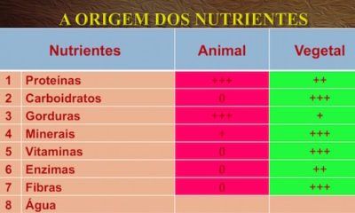 Saúde Viva 8: A Origem dos Nutrientes