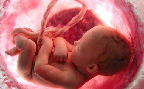 A Formação Extraordinária da Placenta - Dr. Jea Myung Yoo